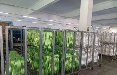这就是国内鱼线市场，哪来那么多日本原丝的